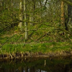 Vogelkoje - Vodelkoje - Naturkulturelles Denkmal