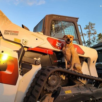 Florida Boy Property Services - Tree Services Near Me Florida Boy Property Services - Tree Services Near Me