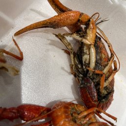 Crawfish
