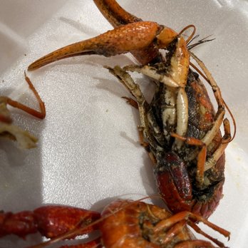 7Spice - Dirty crawfish - Cajun/Creole Near Me - Pearland, Texas 7Spice - Dirty crawfish - Cajun/Creole Near Me - Pearland, Texas