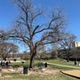 Photo of Yettie Polk Park