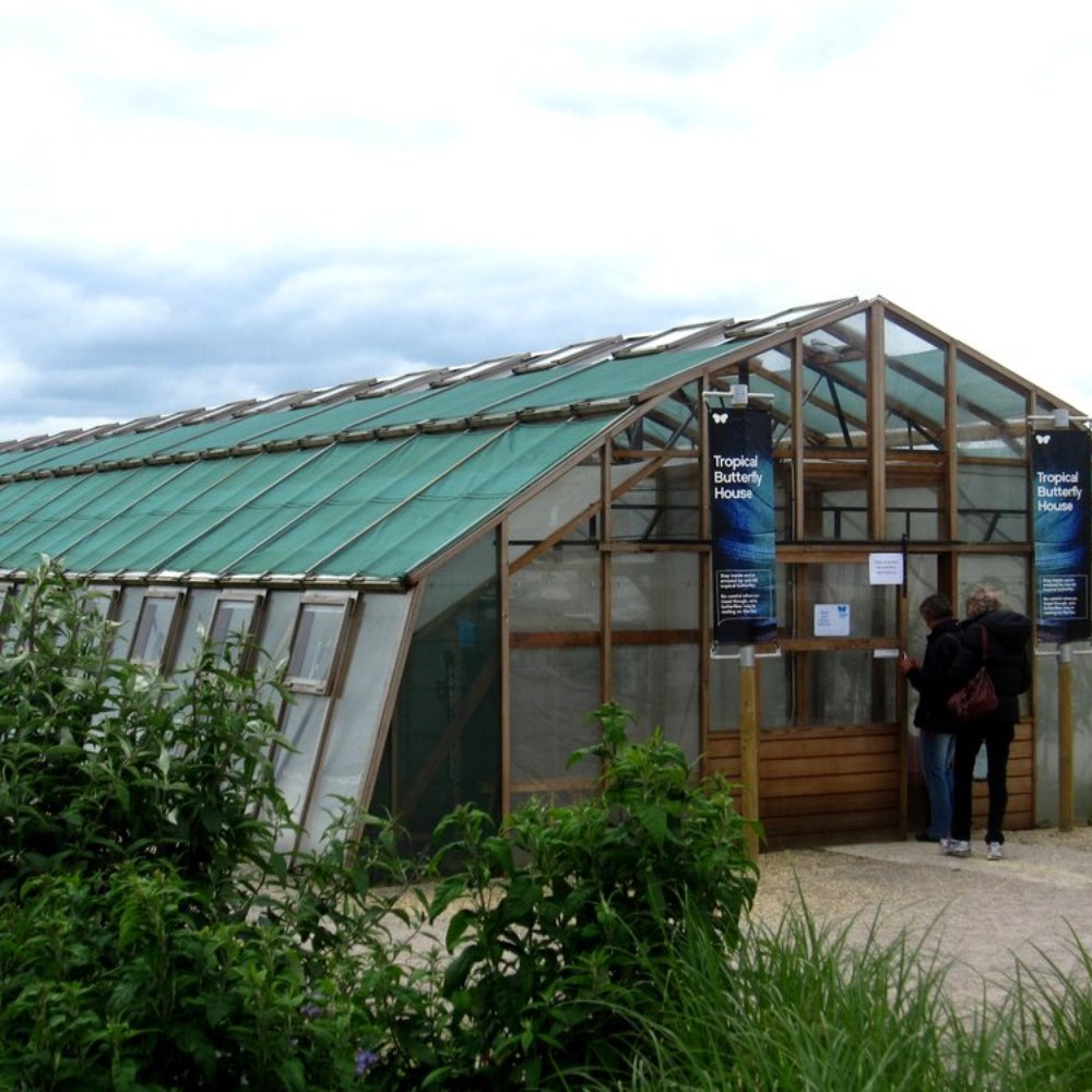 Butterfly World Project - Tropical Butterfly House - Special Education Near Me - St Albans, HRT