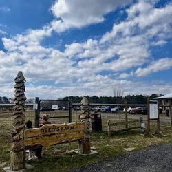 Reed’s Farm