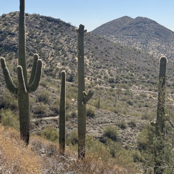 Cave Creek Regional Park - Parks Near Me - Cave Creek, Arizona Cave Creek Regional Park - Parks Near Me - Cave Creek, Arizona
