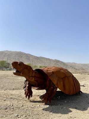 Tortoise Rock Casino by null