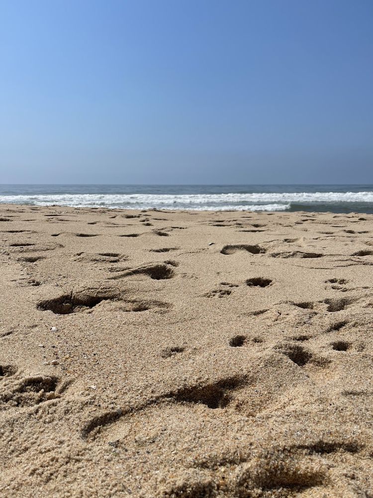Atlantic Avenue Beach Logo