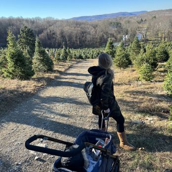 Emmerich Tree Farm - Mountain side where trees are - Christmas Trees Near Me - Warwick, New York Emmerich Tree Farm - Mountain side where trees are - Christmas Trees Near Me - Warwick, New York