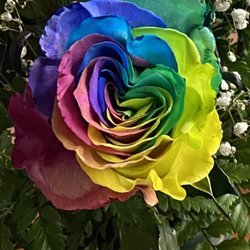 Flowers by Conde & Gifts