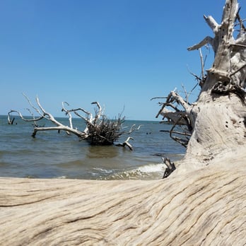 Big Talbot Island State Park - Parks Near Me - Jacksonville, Florida Big Talbot Island State Park - Parks Near Me - Jacksonville, Florida