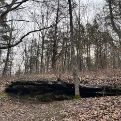 Don Robinson State Park - LaBarque Hills trail