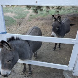 Banner Ranch Julian