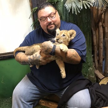 Habana Banana - Baby Lion - Mexican Near Me - Ensenada, BCN Habana Banana - Baby Lion - Mexican Near Me - Ensenada, BCN