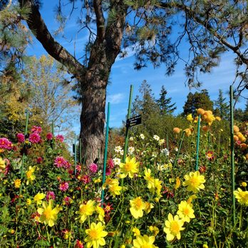 Bellevue Botanical Garden - Beautiful day! - Botanical Gardens Near Me - Bellevue, Washington