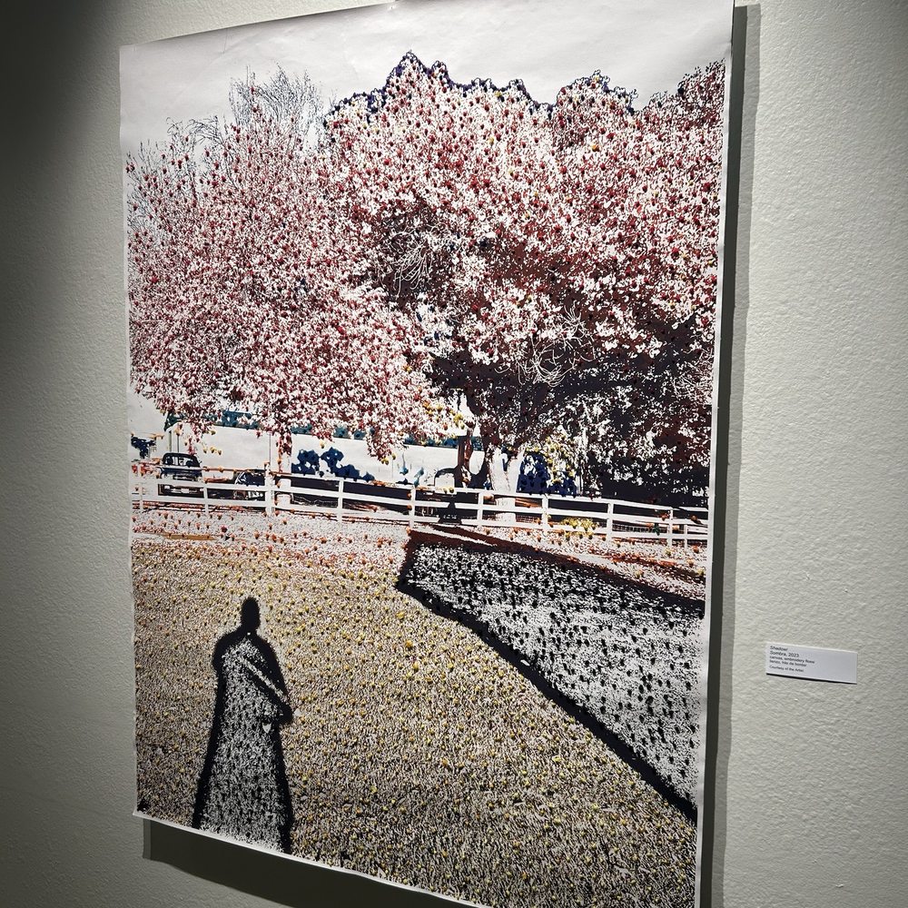 Riverside Art Museum - 10/2024 - Art Schools Near Me - Riverside, California