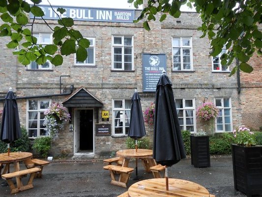 Bull - Barton Mills by null