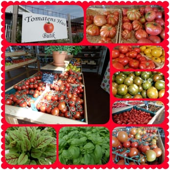 Tomatens Hus - Tomater i mängder, kryddor och ny bakat bröd. - Fruits & Veggies Near Me - Vallåkra, M Tomatens Hus - Tomater i mängder, kryddor och ny bakat bröd. - Fruits & Veggies Near Me - Vallåkra, M