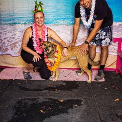 Rummy's Beach Club