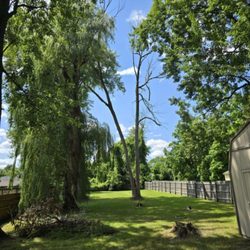 Bushwhacker's Lawn Care