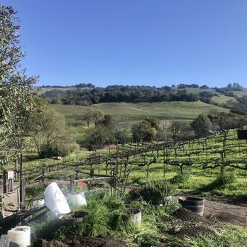 Christopher Creek Winery - Wineries Near Me - Healdsburg, California Christopher Creek Winery - Wineries Near Me - Healdsburg, California
