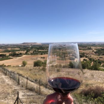 Winebus - Wine with a view - Wine Tours Near Me - Madrid, M