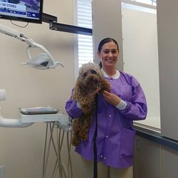 Soft Touch Dental Care