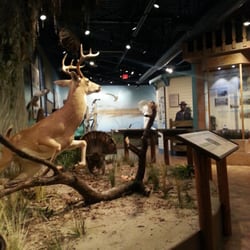 Another view inside th e building