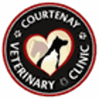 Veterinary Clinic - Logo - Veterinarians Near Me - Courtenay, British Columbia Veterinary Clinic - Logo - Veterinarians Near Me - Courtenay, British Columbia