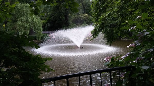 Botanical Garden of the University of Wrocław by null