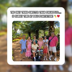 The only thing sweeter than pineapples... is family time at Dole Plantation!