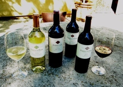 Farella Vineyard by null