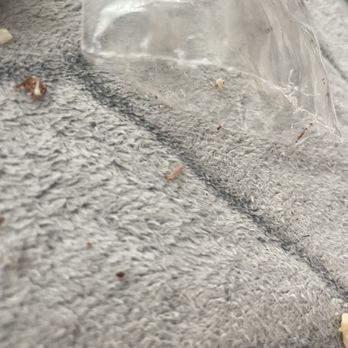 Sweets Stop - More worms that fell out - Desserts Near Me - Fullerton, California