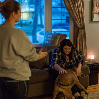 Vigilant K9 - Private in home specialized training. - Pet Training Near Me Vigilant K9 - Private in home specialized training. - Pet Training Near Me