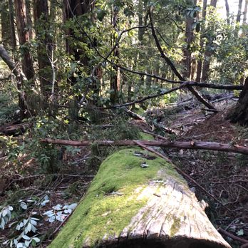 Bootjack Campground - Gorgeous - Campgrounds Near Me - Mill Valley, California Bootjack Campground - Gorgeous - Campgrounds Near Me - Mill Valley, California
