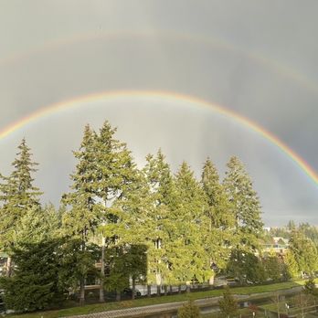 Spectra - 26 March 2023 - Apartments Near Me - Redmond, Washington