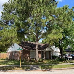 V Ortiz Tree Service - The large tree before