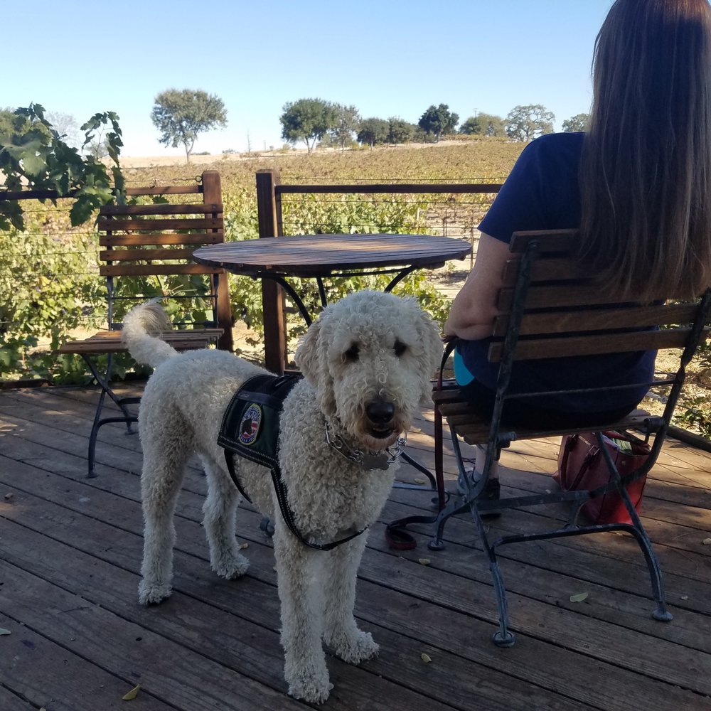 Castoro Cellars - Woof - Wineries Near Me - Templeton, California Castoro Cellars - Woof - Wineries Near Me - Templeton, California