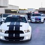 Photo of PetrolWerks Performance