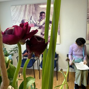Blooms by Bahram - Flowers - Florists Near Me - Santa Ana, California