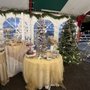 Photo of Pronzini Christmas Tree Lot