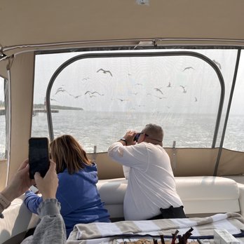 Ahh! Venture Cruise - Seagulls following out if Saugatuck, MI - Boating Near Me - Holland, Michigan Ahh! Venture Cruise - Seagulls following out if Saugatuck, MI - Boating Near Me - Holland, Michigan
