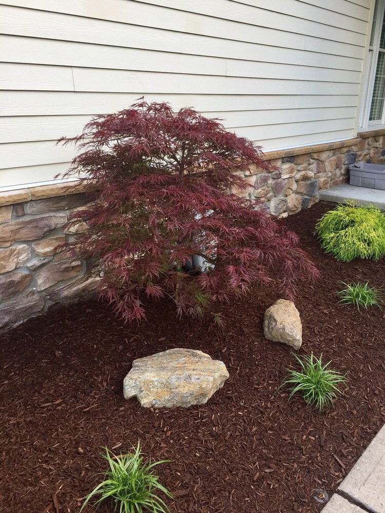 CREATIVE TOUCH LANDSCAPING Updated May 2024 10 Whaleback Waddy