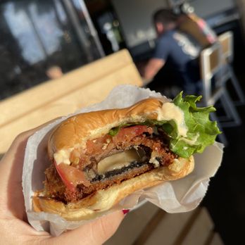 Shake Shack Boca Raton - a hand holding a sandwich - Burgers Near Me - Boca Raton, Florida