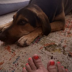 NOIRE the Nail Bar - Our paws are looking good!!! Thanks John!