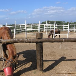 Ferro di Cavallo Circolo Ippico