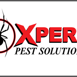 Xpert Pest Solutions - Xpertpestsolutions.com
