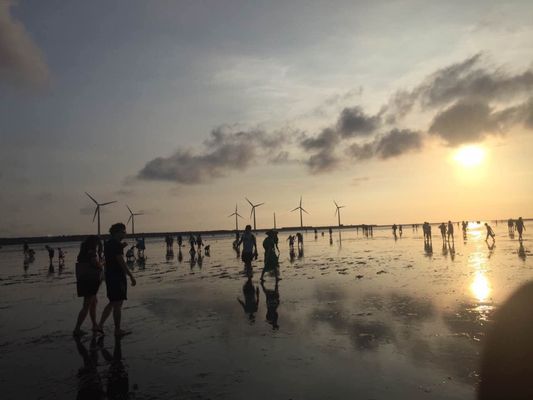 Gaomei Wetlands by null