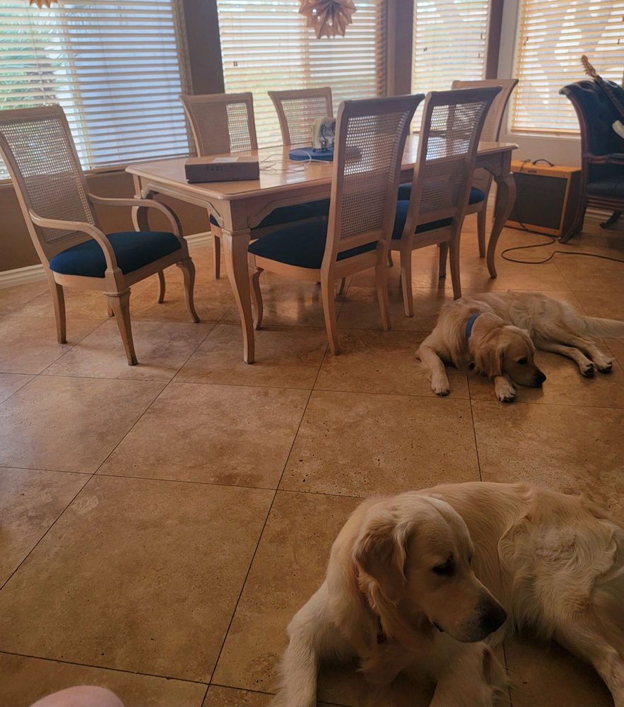 Desert Upholstery & Supplies - upholstery in Las Vegas, NV