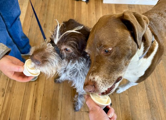 Momma's Grocery + Wine by null