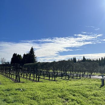 Furthermore Wines - Wine Tasting Room Near Me - Sebastopol, California