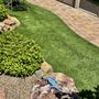 Photo of Keep It Up Artificial Turf Care